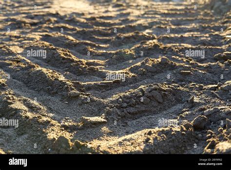 mud on excavators tracks